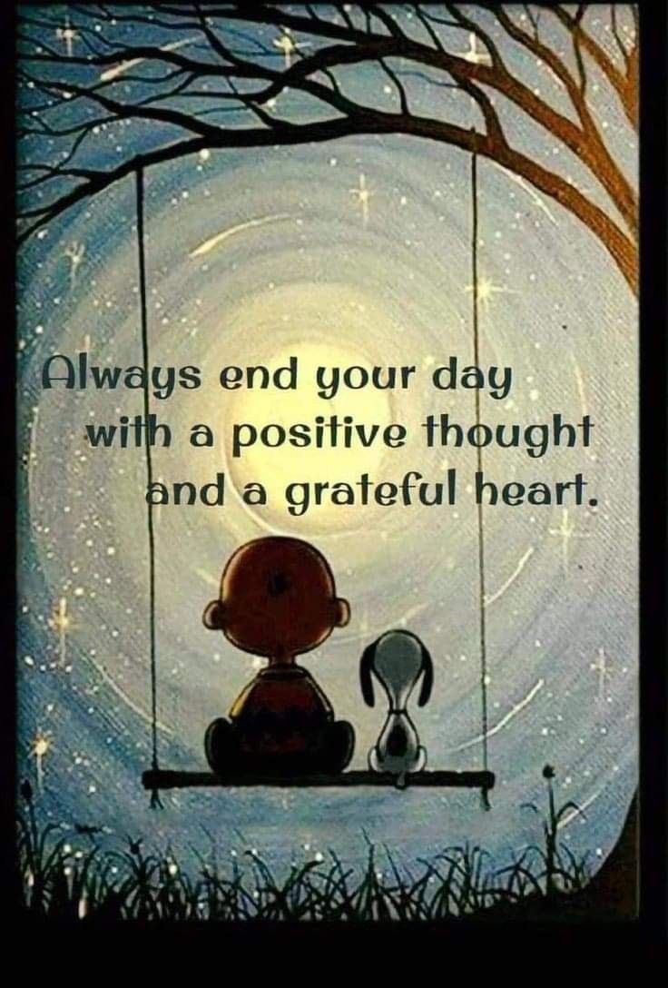 POSITIVITY (@positivitysaid) on Twitter photo 