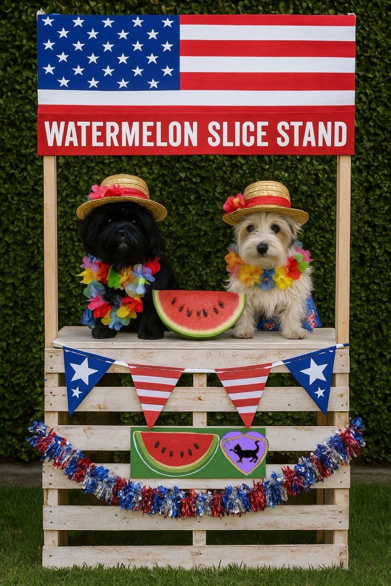Foreveryorkiepups 🌻🧸🩶 (@the3yorkiteers) on Twitter photo <a href="/inherwritemind/">inherwritemind</a> <a href="/TedNTodd/">Ted ,Todd N Teala T³</a> <a href="/MrWuggums/">Mr. Wuggums 💖, DJ Heri 🎶 & the #Xanawu Cats🐈⬛</a> <a href="/XanawuCats/">DJ Heri, Mr. Wuggums & The #Xanawu Cats</a> *Waves to Kose*
What’s not to loving about a Whatamelon Slice 🩶💗 #chilltent #Xanawu #WuggieCommunity #july4th2025 <a href="/inherwritemind/">inherwritemind</a> <a href="/TedNTodd/">Ted ,Todd N Teala T³</a> <a href="/MrWuggums/">Mr. Wuggums 💖, DJ Heri 🎶 & the #Xanawu Cats🐈⬛</a> <a href="/XanawuCats/">DJ Heri, Mr. Wuggums & The #Xanawu Cats</a> *Waves to Kose*
What’s not to loving about a Whatamelon Slice 🩶💗 #chilltent #Xanawu #WuggieCommunity #july4th2025