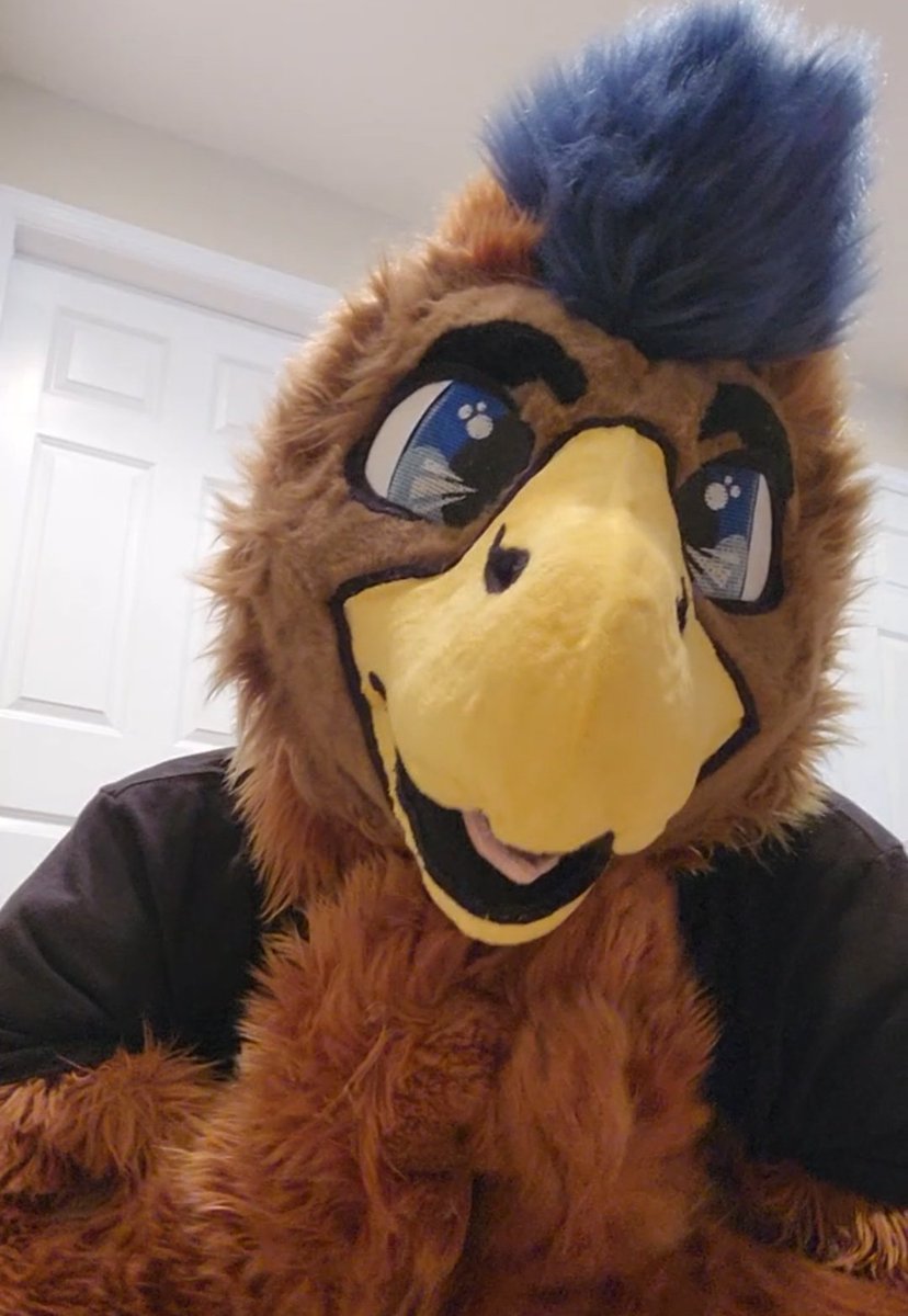 DonderHawk's tweet image. Looking nice today!

#FursuitFriday