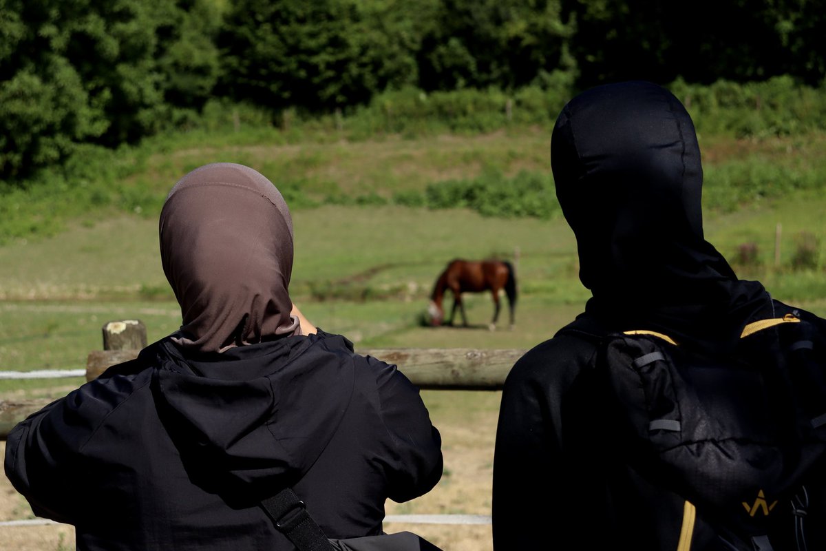 𝙰𝚂𝙼𝙰 tweet media