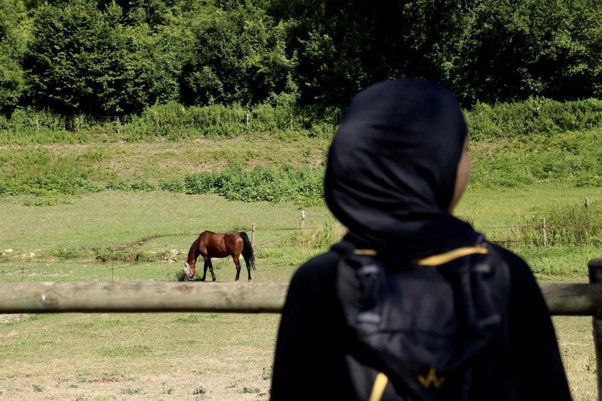 𝙰𝚂𝙼𝙰 tweet media