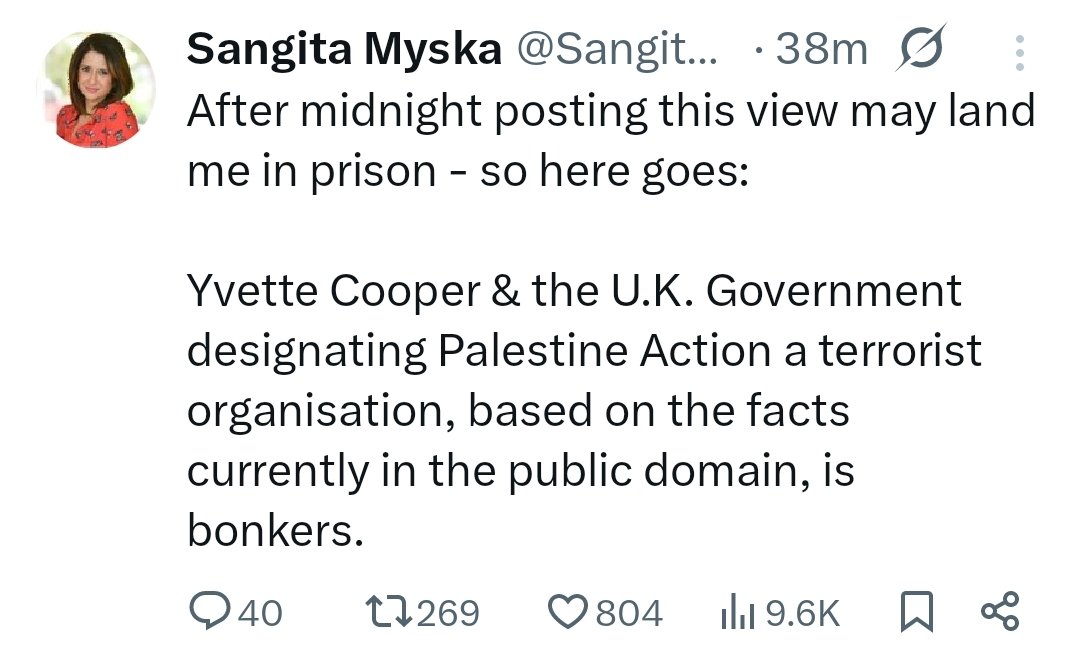 It's not "bonkers". There's a clear logic to it. A right wing authoritarian government is banning protest from a particular group for a particular cause in order to protect the interests of suppliers of lethal weapon  components to a murderous regime that is committing genocide