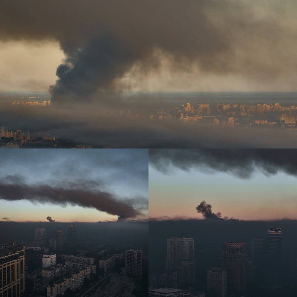 MEHÍLOVE tweet media