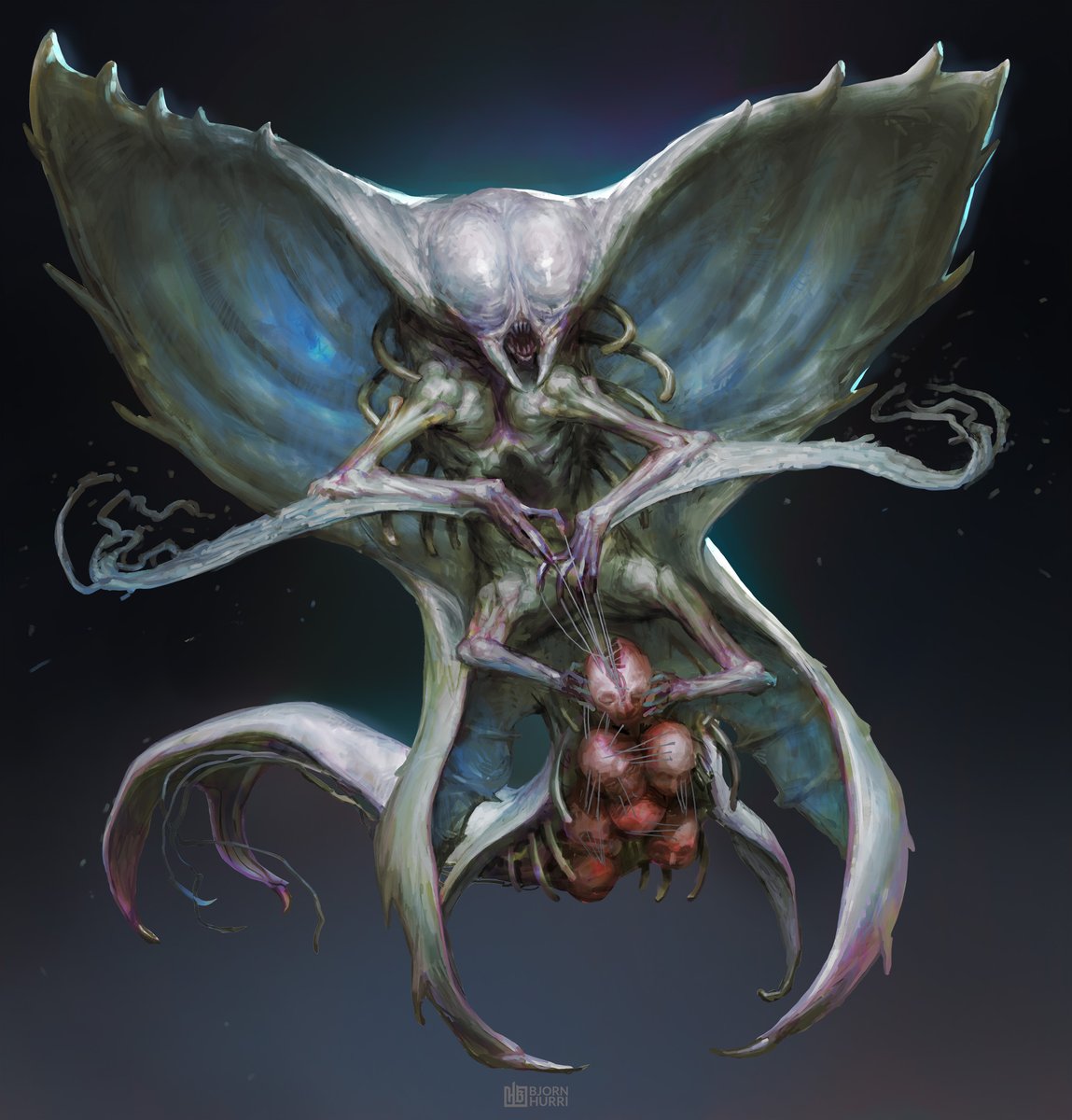 Björn Hurri tweet media