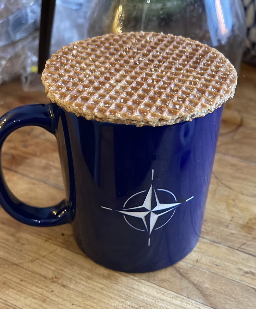 Nigelgd1's tweet image. Excellent trip to Brussels. Should NATO revive its Economic Committee (1957-2010) to address the centrality of economic power in meeting Russia’s threat, as in the Cold War?