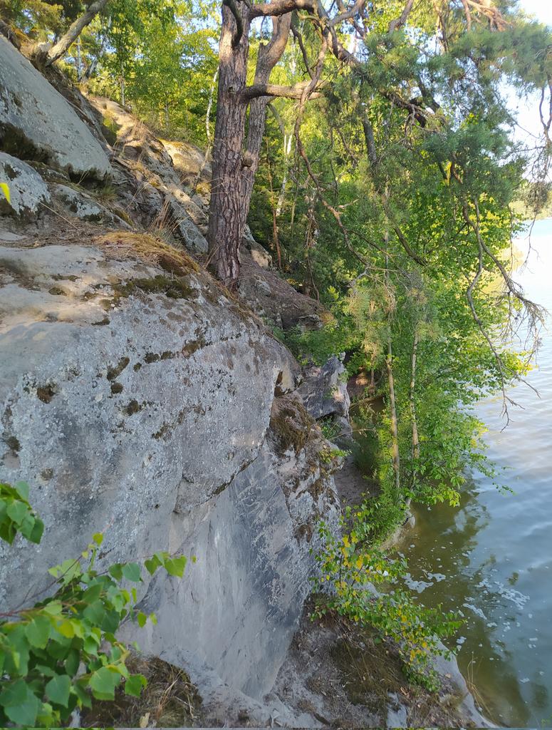 freakyblonde's tweet image. Když jsem dorazila k místu, viz 1. foto, nechtělo se mi to podlézat ani obcházet po kluzkých kamenech, tak jsem to obešla vrchem.... 🫣

Následující výstup začal hlasitým &quot;Ty krávo, vždyť ti bude padesát&quot; a končil &quot;Kurvadrát ty jsi hustá&quot; 😂

#Přežilajsem 😅
#PodŠroubeným
#Mácháč