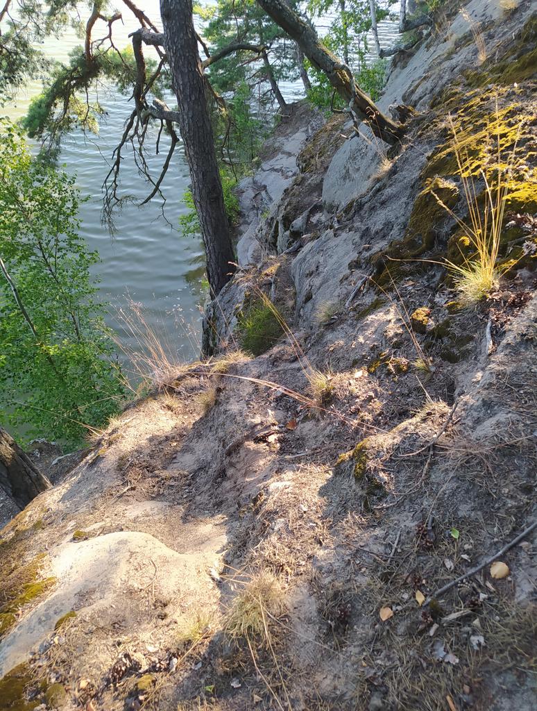 freakyblonde's tweet image. Když jsem dorazila k místu, viz 1. foto, nechtělo se mi to podlézat ani obcházet po kluzkých kamenech, tak jsem to obešla vrchem.... 🫣

Následující výstup začal hlasitým &quot;Ty krávo, vždyť ti bude padesát&quot; a končil &quot;Kurvadrát ty jsi hustá&quot; 😂

#Přežilajsem 😅
#PodŠroubeným
#Mácháč