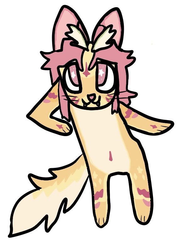 Cal Cara tweet media