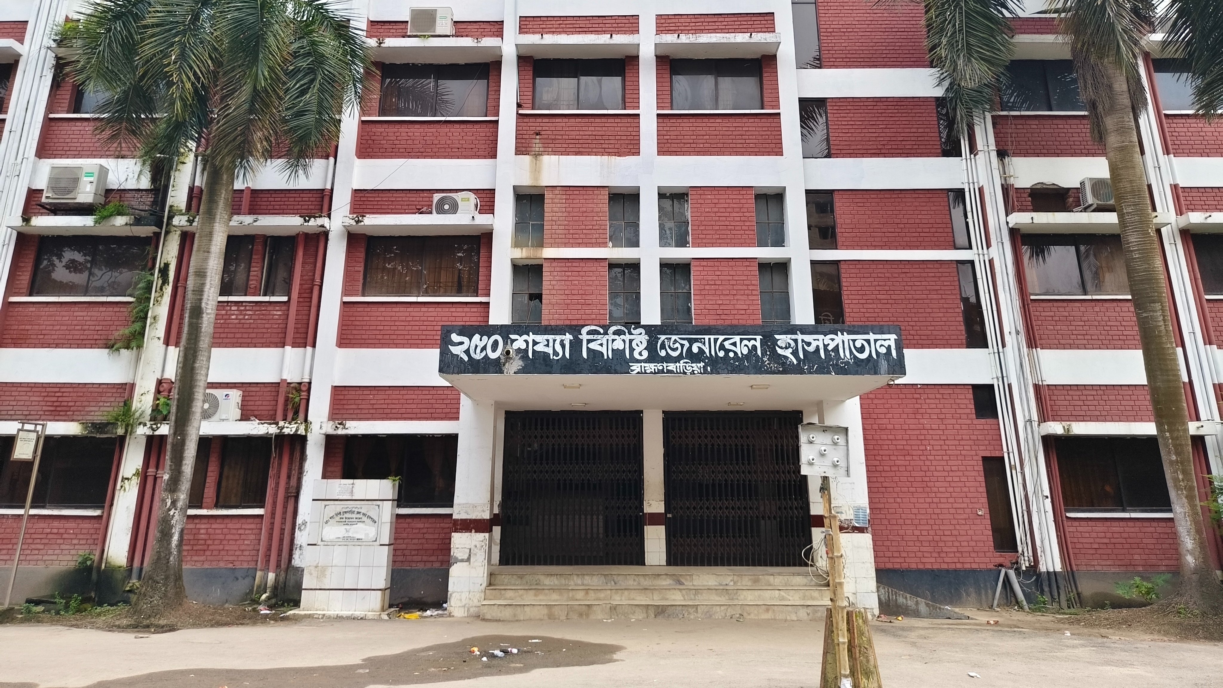 শাপলা তুলতে গিয়ে ডোবায় পড়ে ভাই-বোনের মর্মান্তিক মৃত্যু