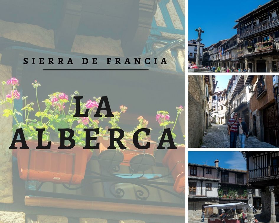 Los Viajes de Margalliver tweet media