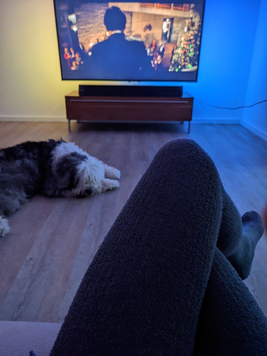 Buddy war ein fröhlicher Hund.
Kein Clown, aber immer gut gelaunt und bereit, seine gute Laune mit allen zu teilen.
Dazu war er ein perfekter Tröster.
Caro konnte ihm alle Geheimnisse anvertrauen, er hat sie für sich behalten.
Bei anderen Hunden war er freundlich aufgeschlossen,