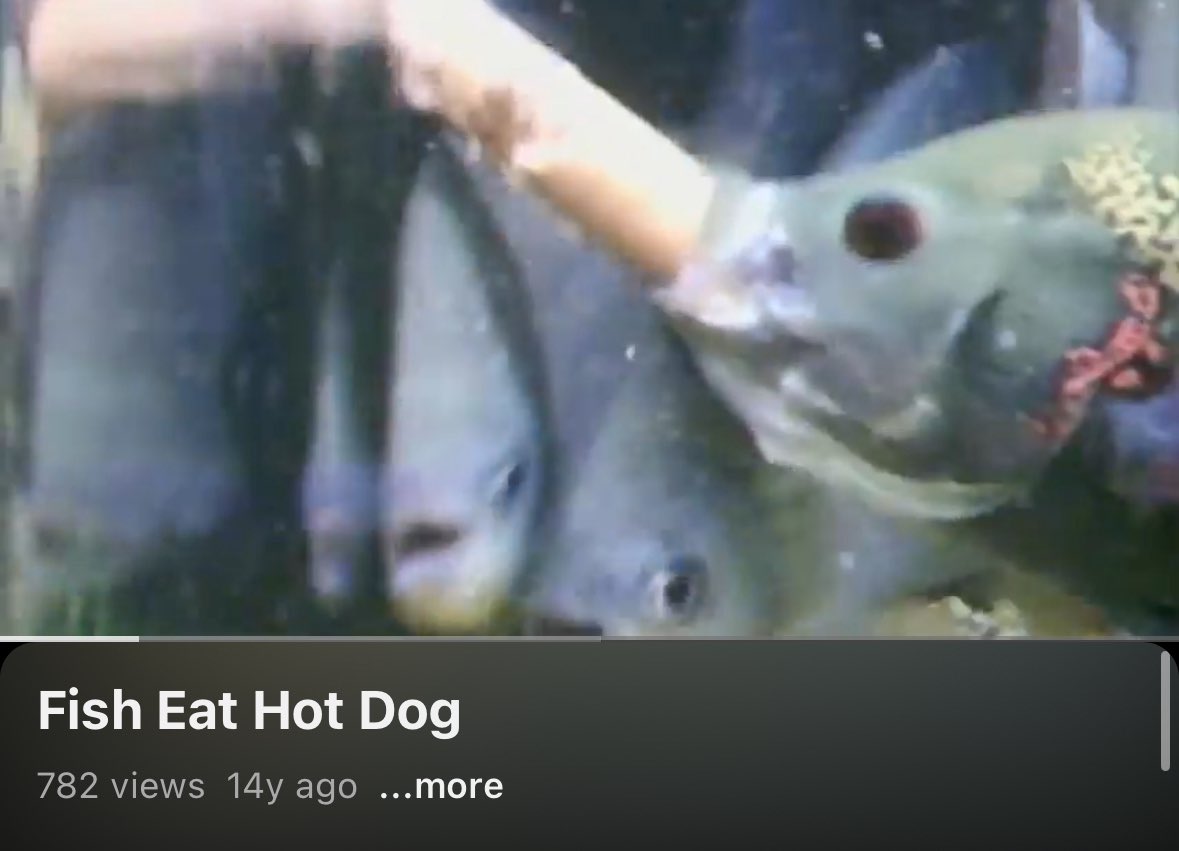 basil (@bazylith) on Twitter photo 