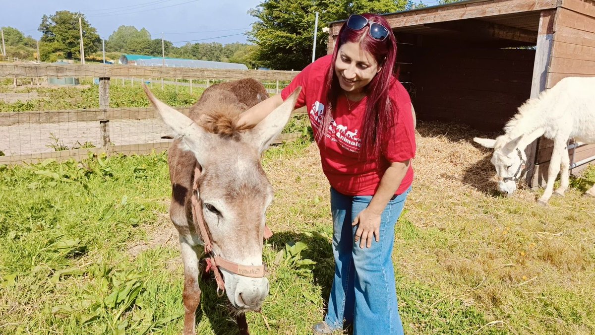 Network4Animals's tweet photo. 🐾🌍🫶 From Morocco to the Middle East, find out how YOU helped us make a crucial difference for animals around the world in June: https://t.co/8H45R89Fl8. 

Thank you for standing with #NetworkforAnimals. 

Putting the animals first.

#NFAMonthlyHighlights https://t.co/58dpTC52of