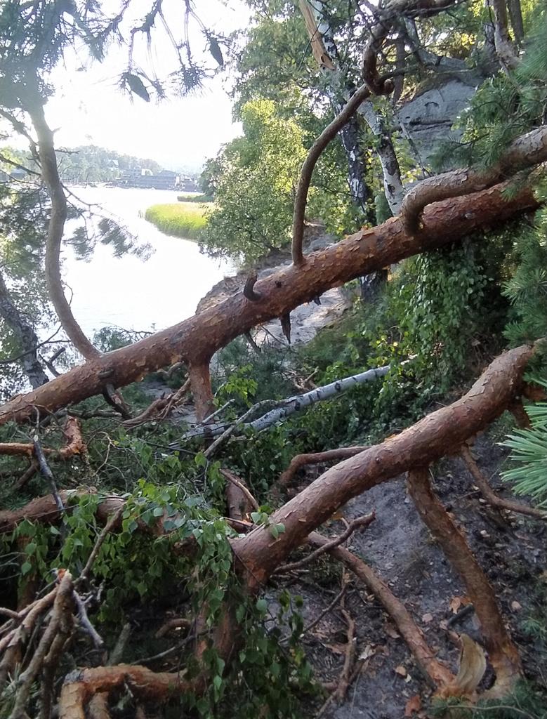 freakyblonde's tweet image. Když jsem dorazila k místu, viz 1. foto, nechtělo se mi to podlézat ani obcházet po kluzkých kamenech, tak jsem to obešla vrchem.... 🫣

Následující výstup začal hlasitým &quot;Ty krávo, vždyť ti bude padesát&quot; a končil &quot;Kurvadrát ty jsi hustá&quot; 😂

#Přežilajsem 😅
#PodŠroubeným
#Mácháč