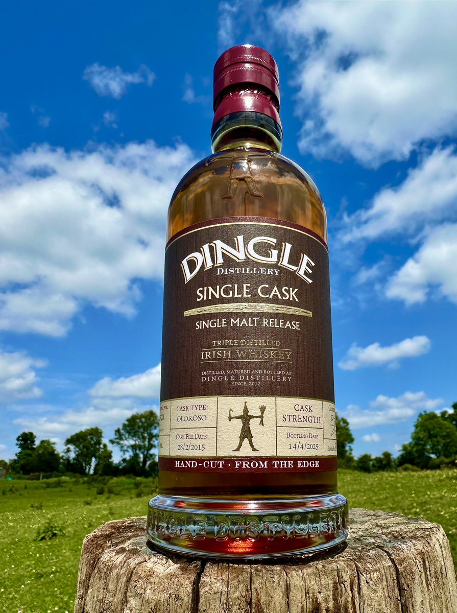 Dave Cummins tweet media