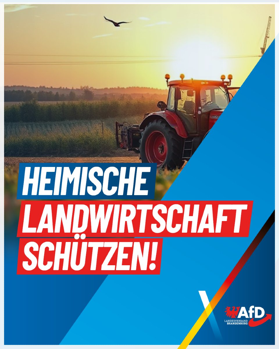 BrandenburgAfD's tweet image. Bundesagrarminister Alois Rainer (CSU) hat im Gespräch mit dem Redaktionsnetzwerk Deutschland (RND) gesagt, er lasse aktuell rechtlich prüfen, ob ausländische Saisonarbeiter nur 80 Prozent des gesetzlichen Mindestlohns erhalten könnten. Für landwirtschaftliche Betriebe würde die…