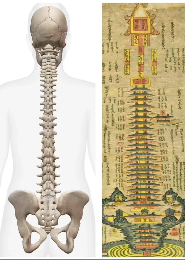 santi_despierta's tweet photo. La columna vertebral actúa como una antena que distribuye energía por tu cuerpo. 

Las culturas antiguas conocían formas de ‘afinar’ esta antena para mejorar la salud y el bienestar. 

Descubre la ciencia olvidada de la sintonización vibracional y cómo aplicarla: 🧵 https://t.co/9K89FaR2ae
