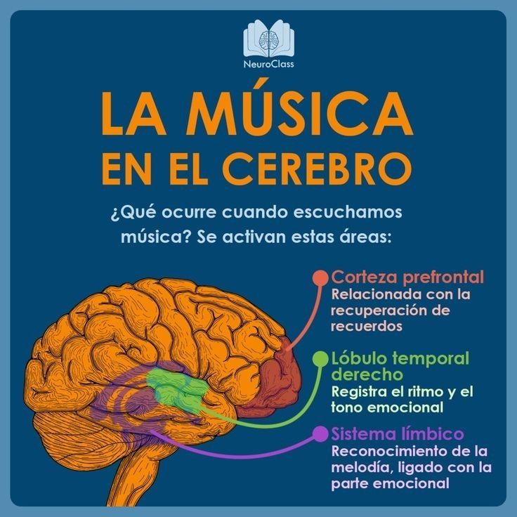 La música en el cerebro