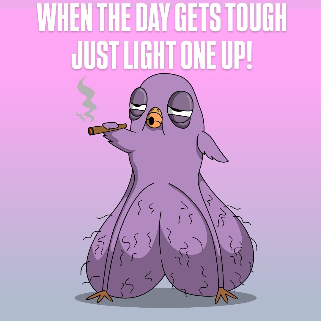 $BIGBALLZ (@bigballsalgo) on Twitter photo When the day gets tough, just light one up🍃
$ALGO
vestige.fi/asset/26862551… When the day gets tough, just light one up🍃
$ALGO
vestige.fi/asset/26862551…