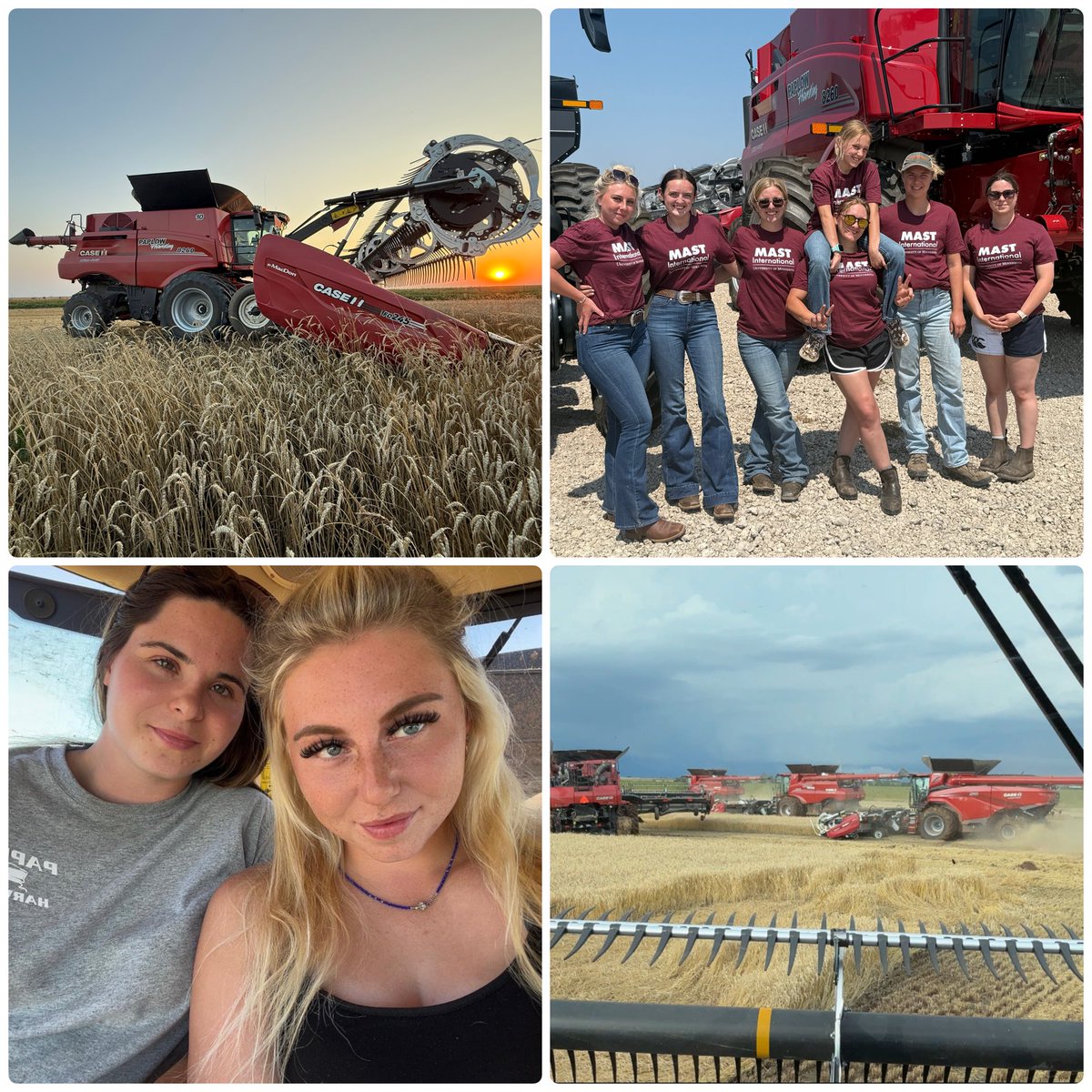LittleBigFarm's tweet image. A few photos from the past couple of weeks. 

I think we are all looking  fairly good considering the long hours (100 hour weeks) we have been working to bring in the harvest 2025 what do you think ? 

#AmericanHarvest25