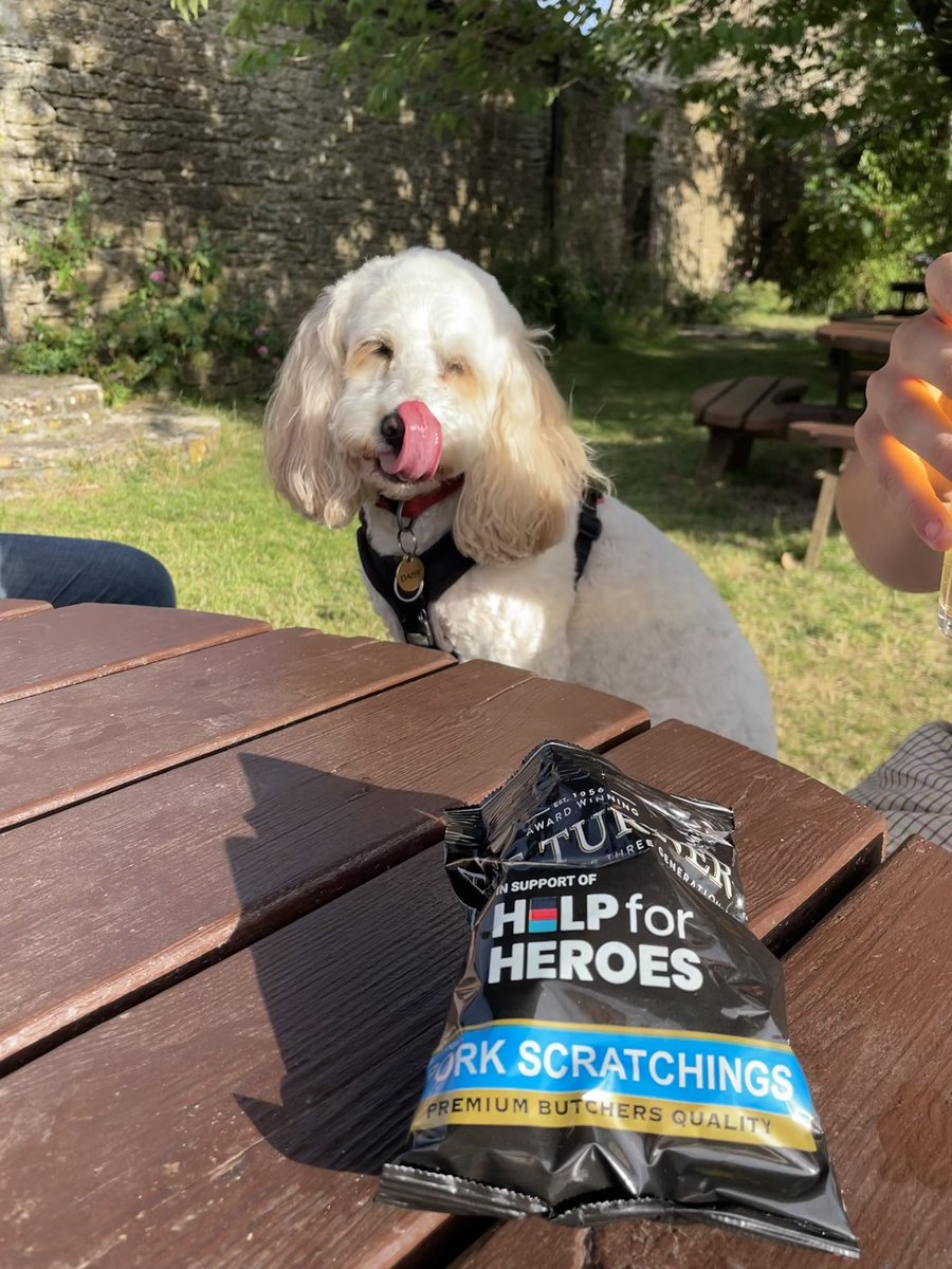 Daisy Dog tweet media