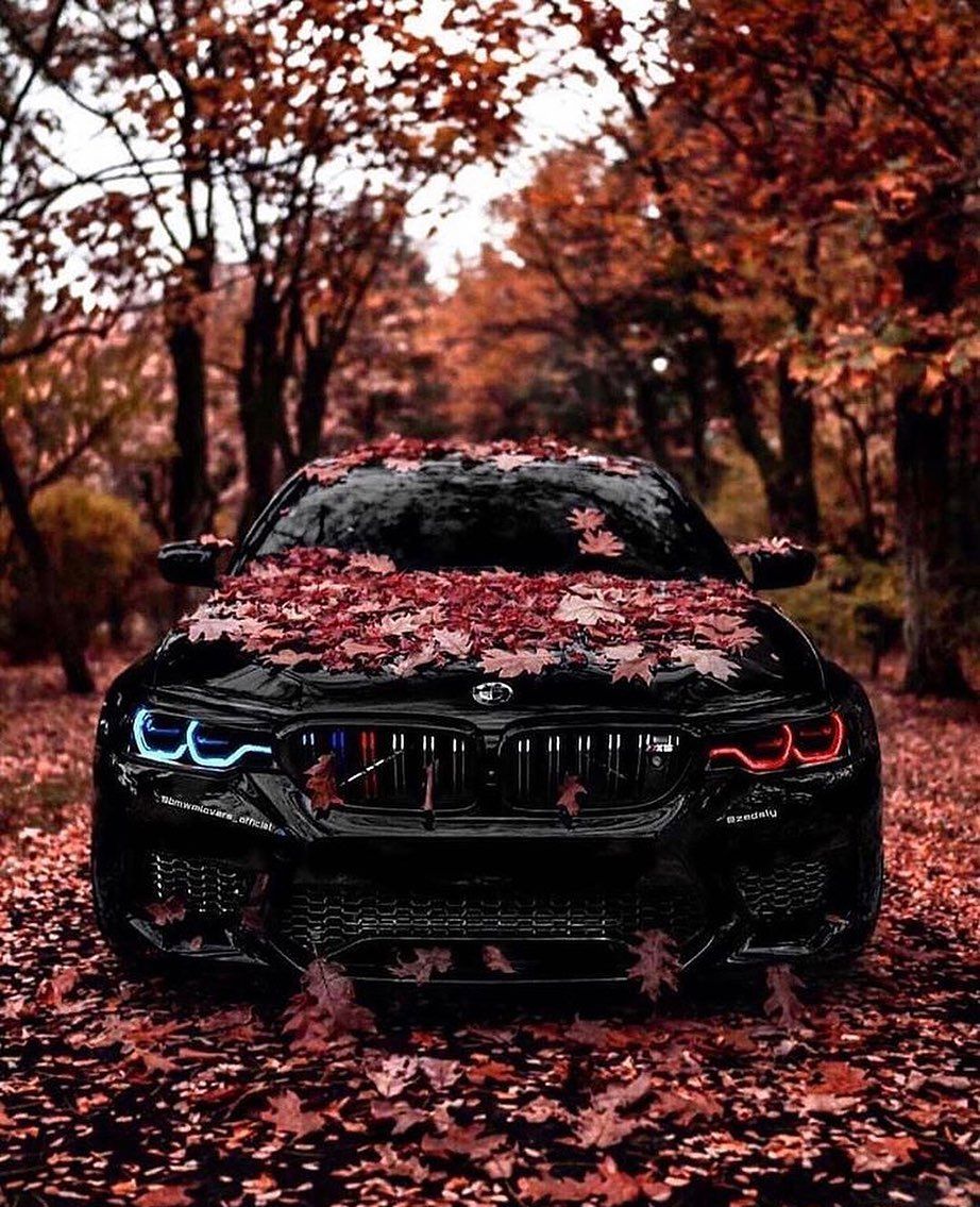 Bmwmenπ² tweet media