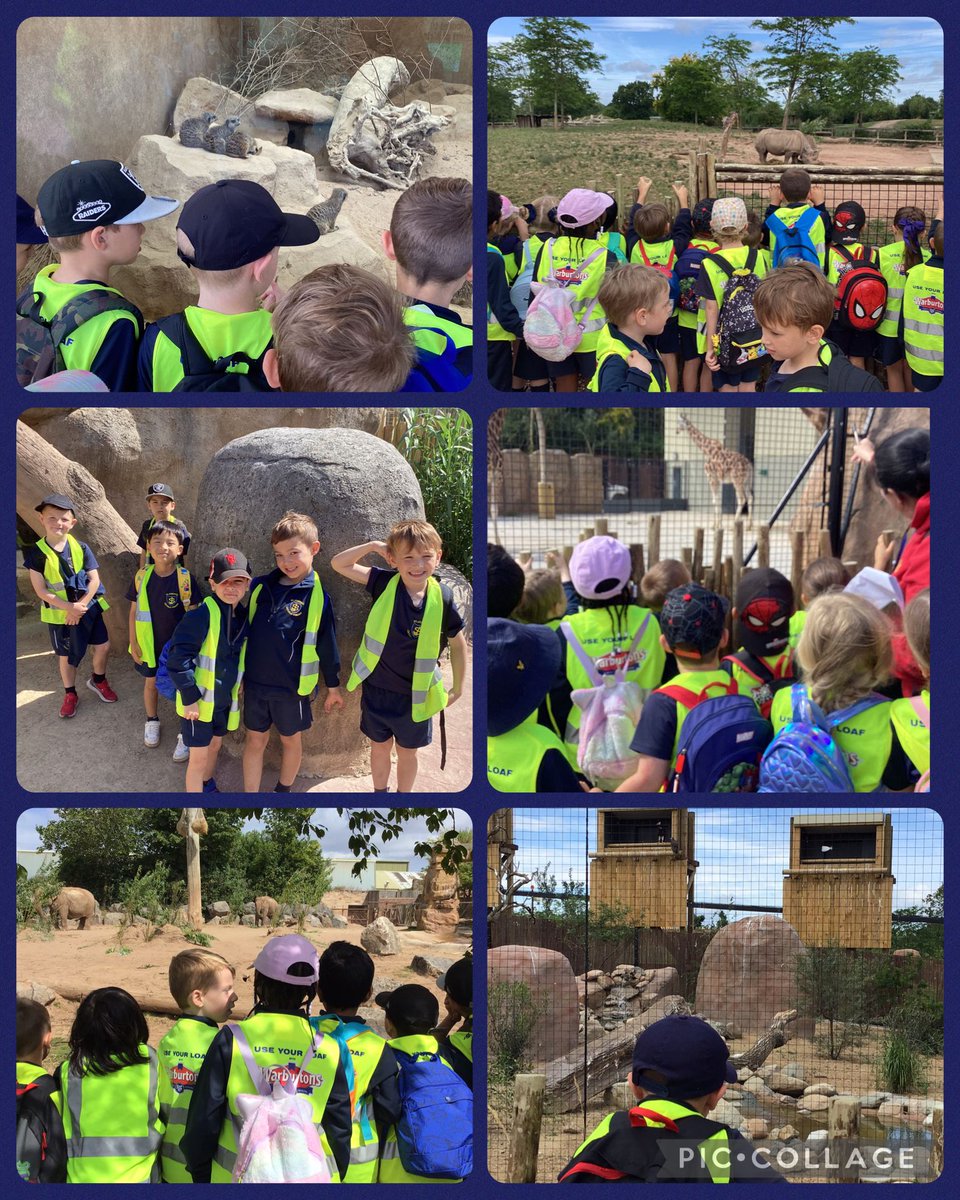 Year 1 had a fantastic time at Chester Zoo today. They explored different types of animals and could describe how they are classified. They behaved beautifully and thoroughly enjoyed themselves! Well done Year 1! #sciencestjoes