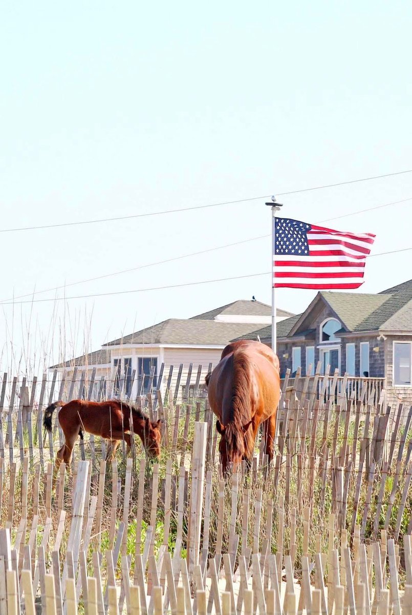 Happy 4th of July to you and yours … #northernobx #corollanc #visitnc