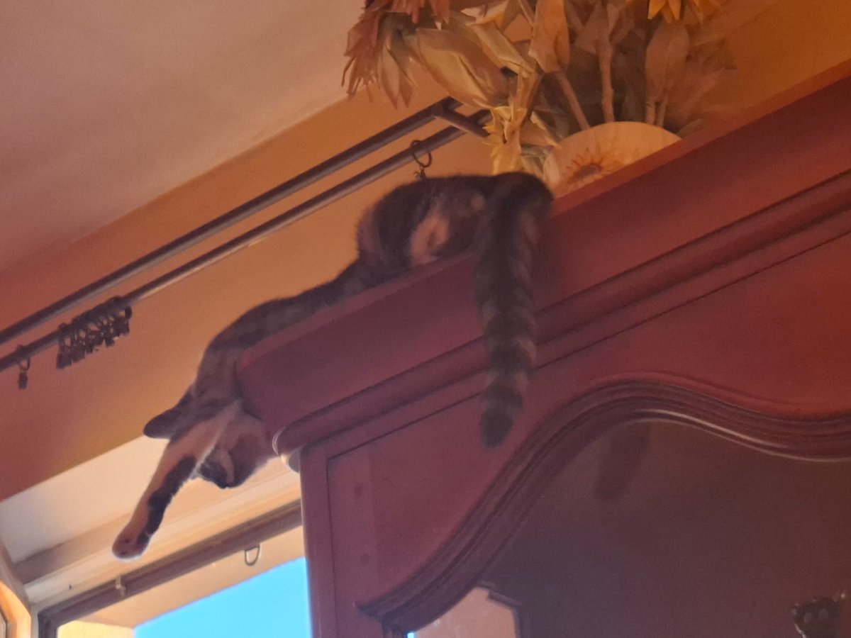 Czasem śpimy w nietypowych miejscach