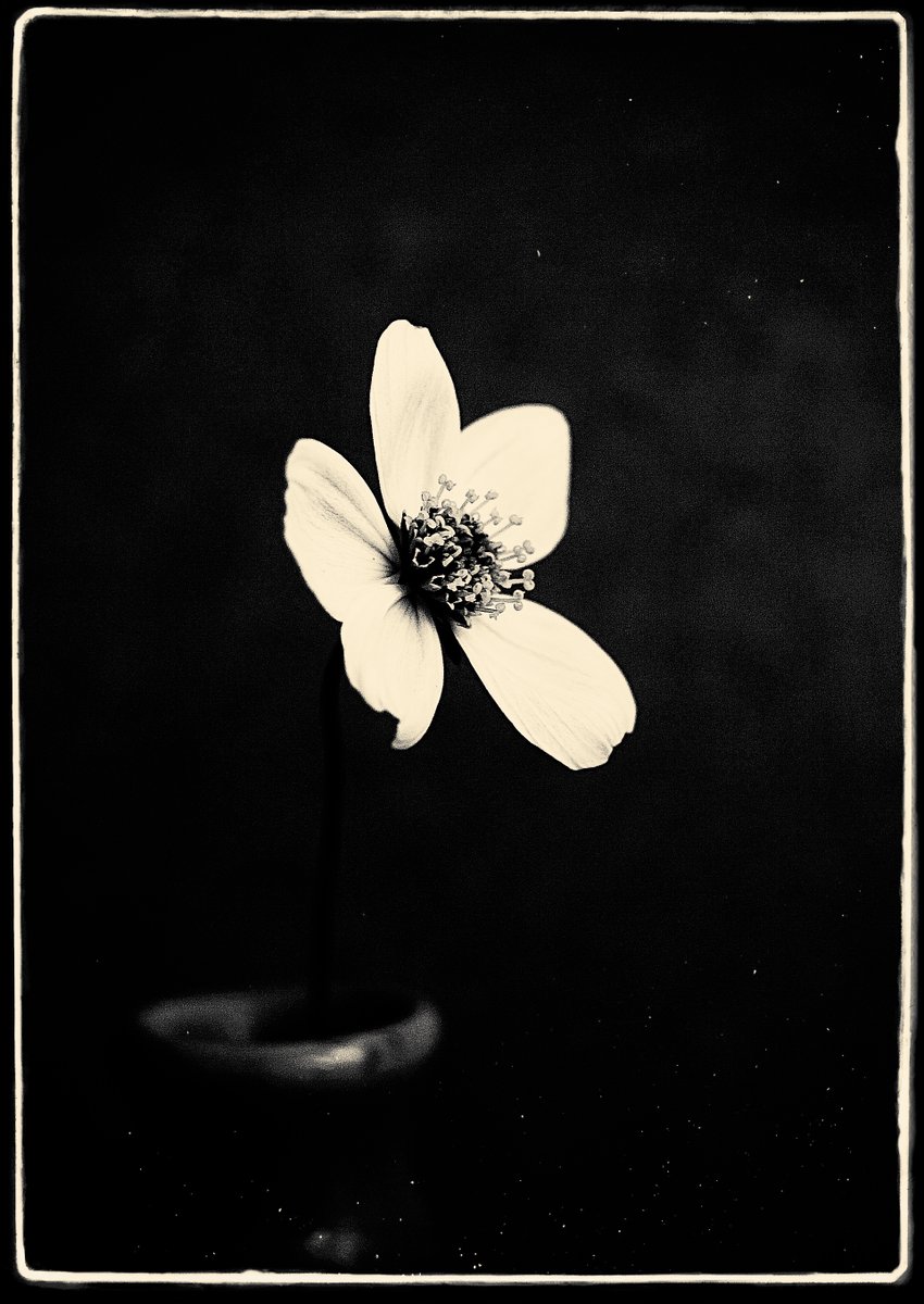 Shuichi Machimoto 町本修一。 (@machimoto19801) on Twitter photo 