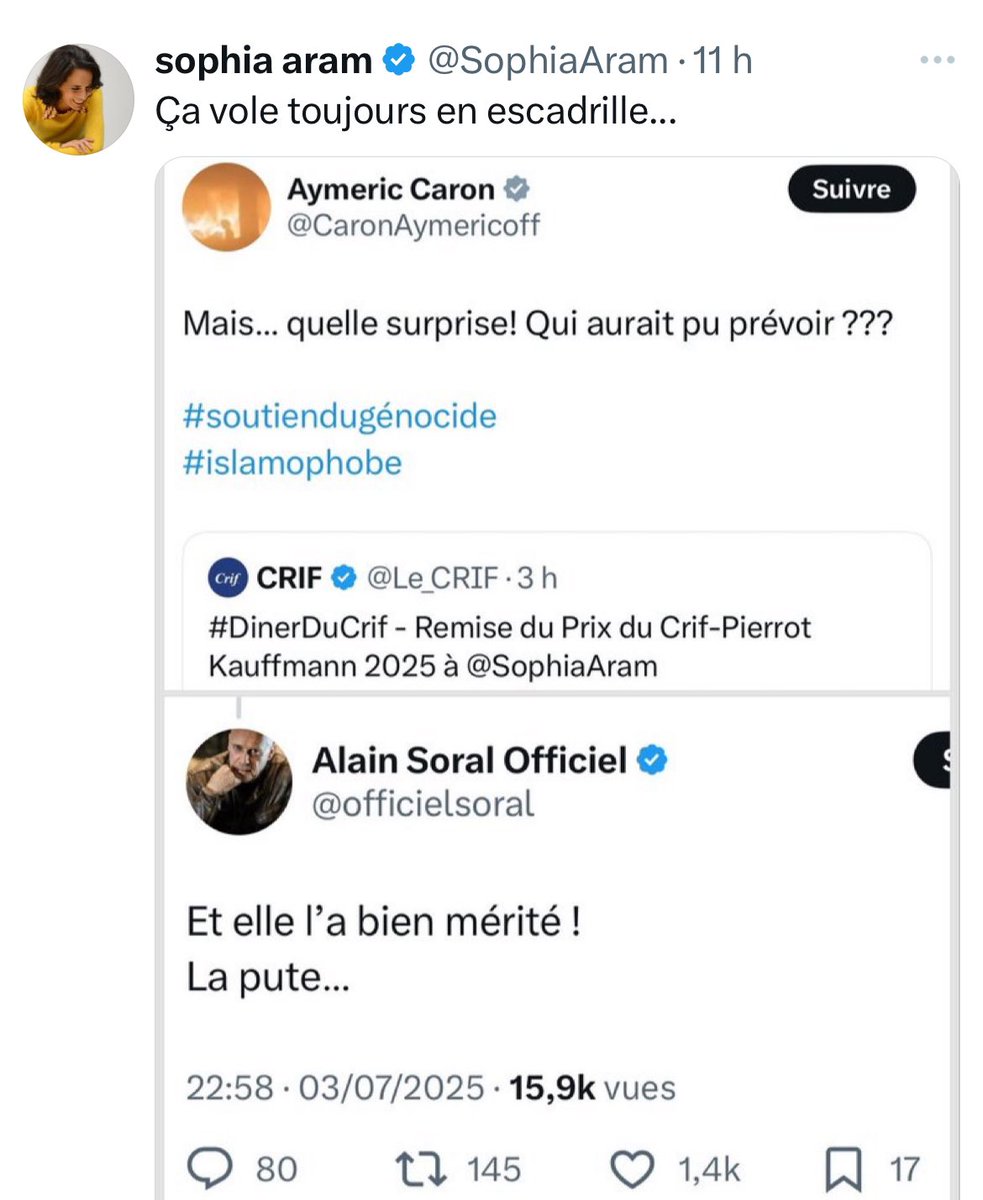 Moi aussi je peux coller un post de Sophia Aram par dessus un post d’Adolf Hitler pour faire croire qu’ils sont potes, c’est le niveau zéro du montage.