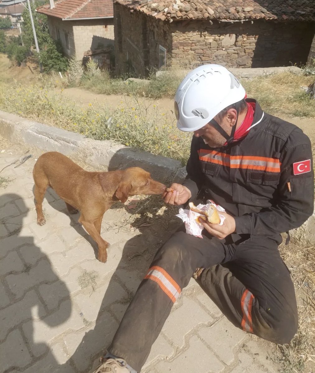 Bazı anlar ve emekler asla unutulmazlar 

 #izmiryanıyor