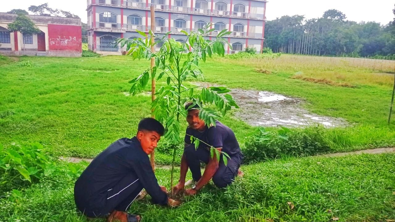 হোসেনপুরে ছাত্র শিবিরের বৃক্ষরোপণ ও চারা বিতরণ কর্মসূচি