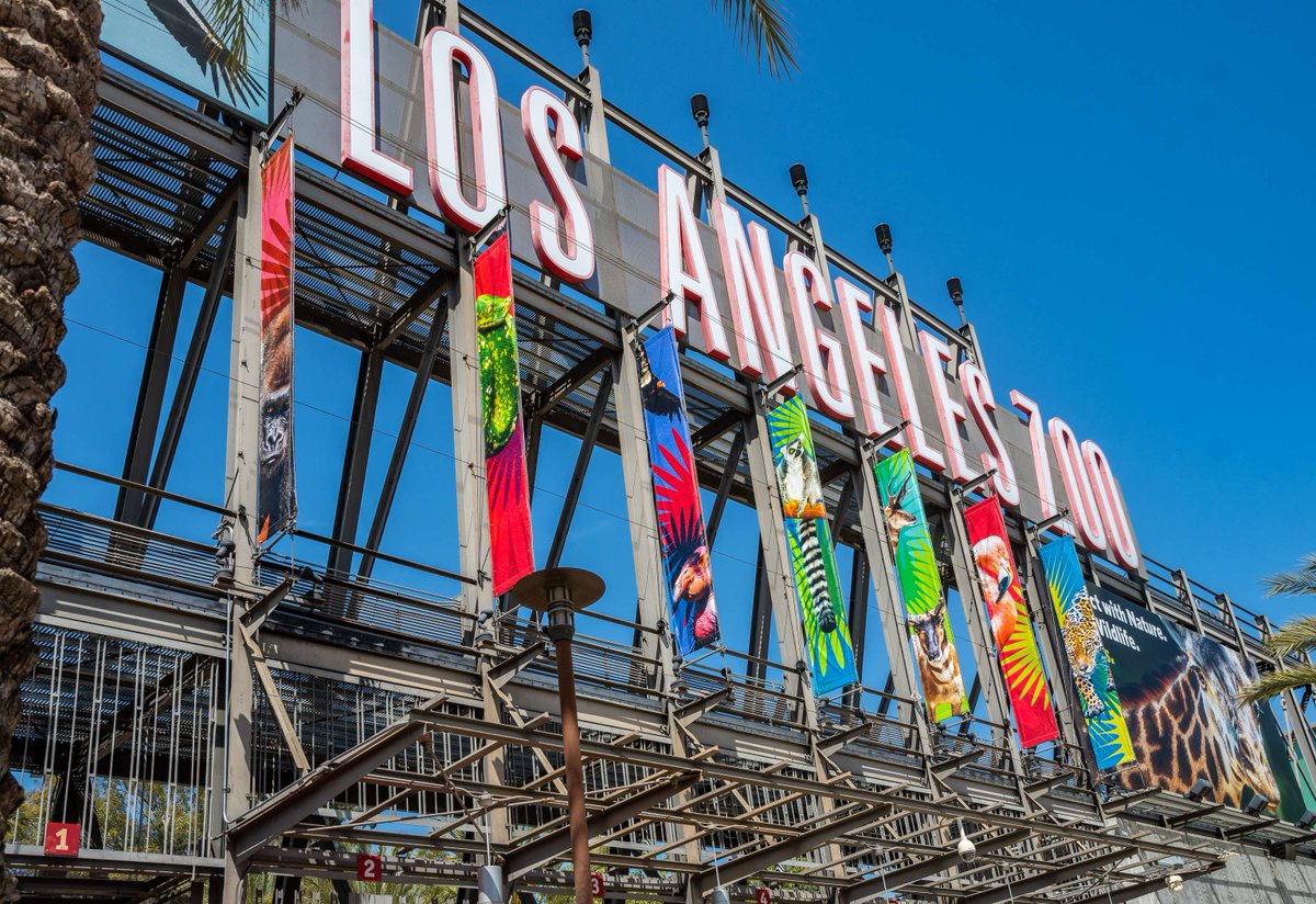 LAZoo's tweet image. Happy 4th of July! The L.A. Zoo is open today from 10 a.m. - 5 p.m.