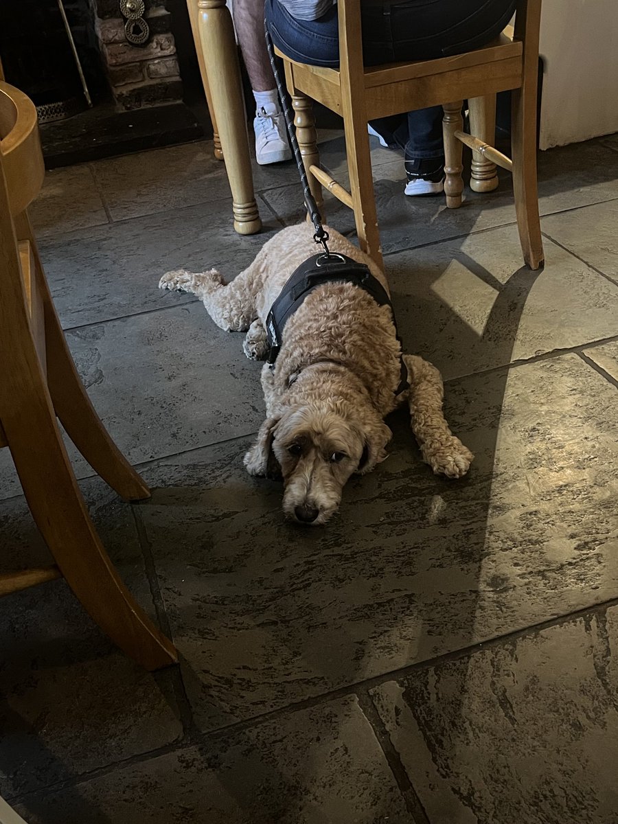 #PubDog 

#KirkDeighton