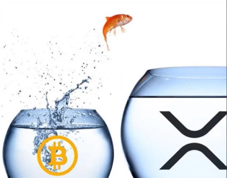 _Crypto_Barbie's tweet photo. WHAT WILL HAPPEN SOON TO #XRP: https://t.co/E7YxKob6cB