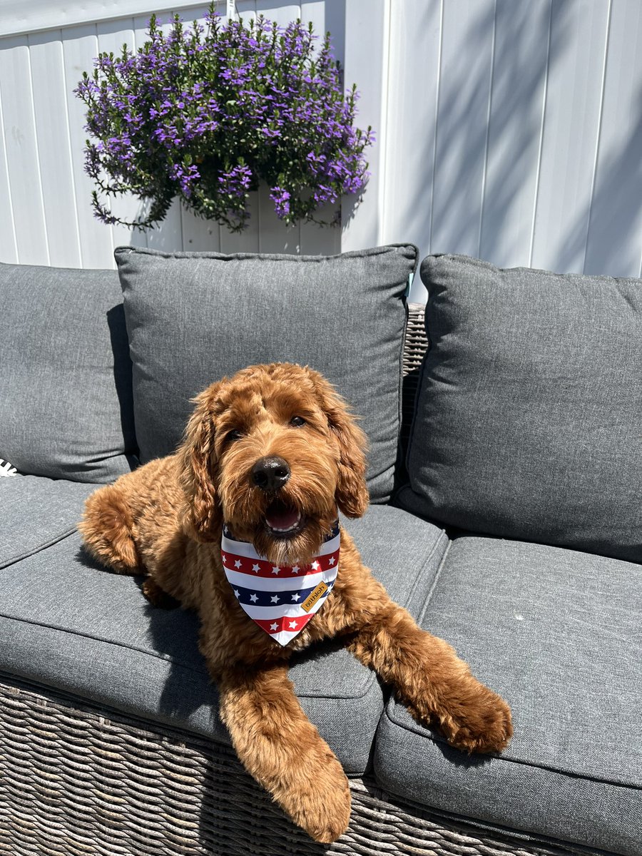 Tewksbury Police tweet media