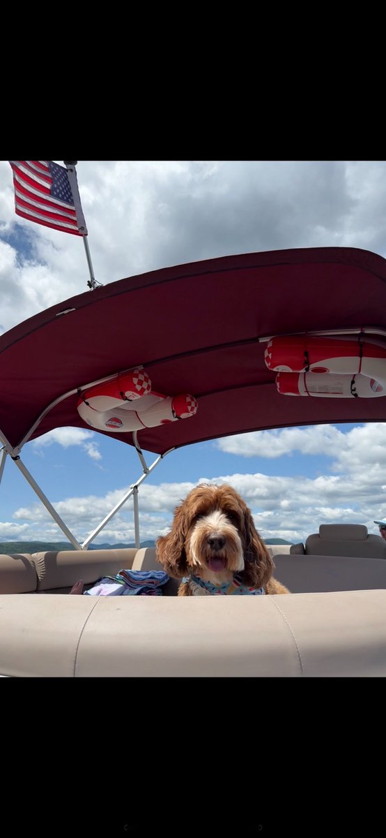 Tewksbury Police tweet media