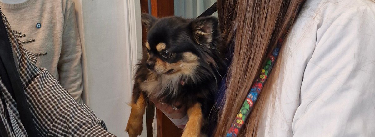 defensoriaPBA's tweet photo. 🐶 Ari: cómo un perro está transformando la vida en un hospital de niños

+ info acá 👇
https://t.co/DOgmioeBTj https://t.co/UnbLp4r2LH