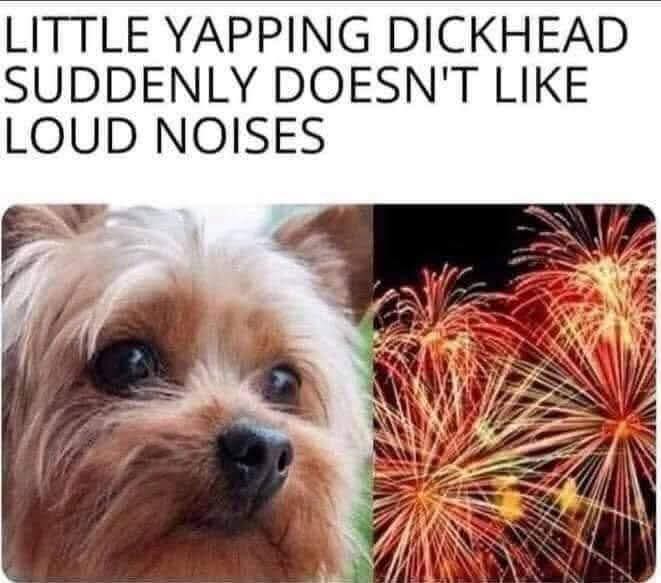 The Worldly Idiot 🌎😉🇺🇲 (@theworldlyidiot) on Twitter photo 