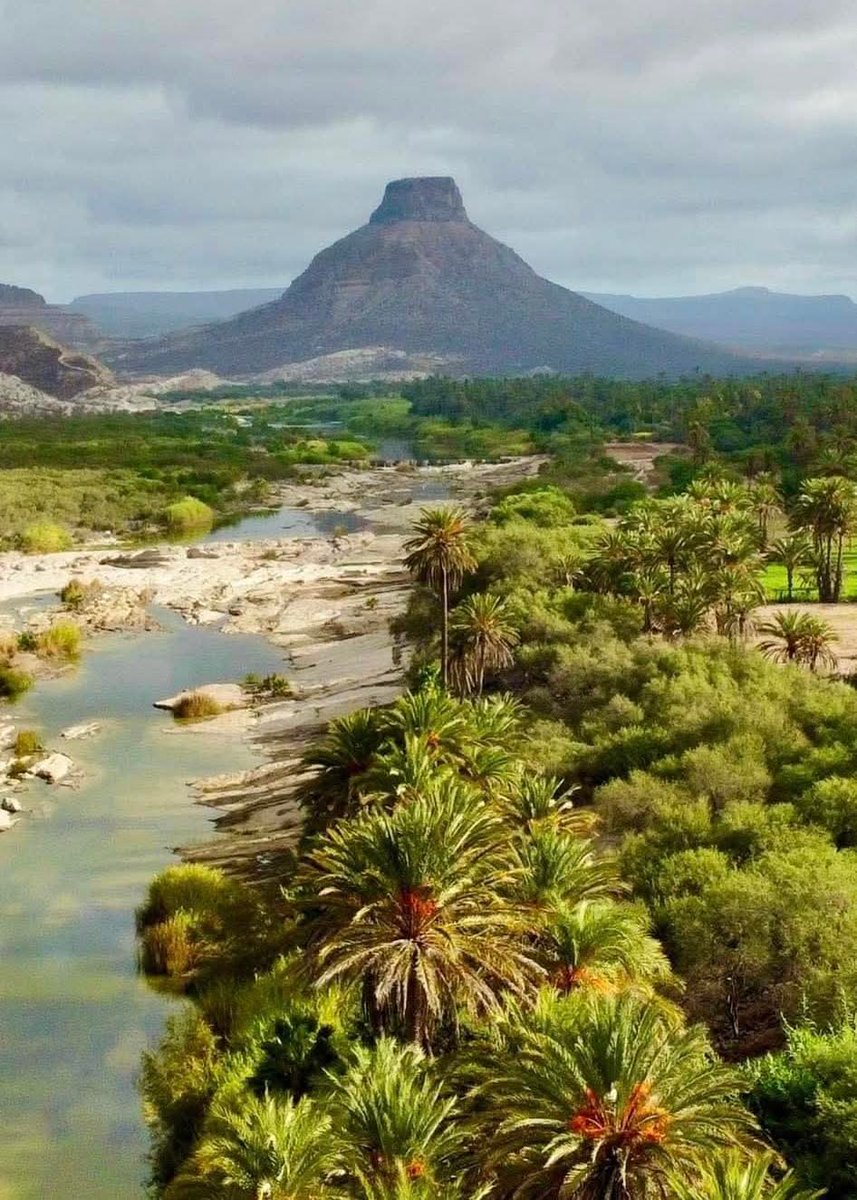 PostBajaSur's tweet image. 🌵El Cerro del Pilón en Baja California Sur.
🔊 Este icónico cerro, nos regala un fascinante paisaje rodeado de un bellísimo manantial, abundantes palmares y árboles frutales, sobresaliendo en su relieve la figura simbólica del Pilón.
Fuente: 💯
Explora tu baja