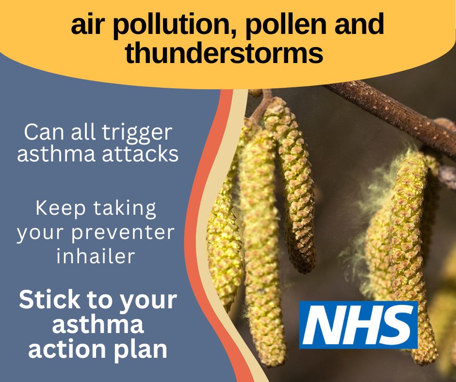 KirkleesHCP's tweet image. The summer’s not always kinder to your lungs.
There&apos;s high pollen levels in the air this week.
Keep to your asthma action plan and carry your reliever inhaler when forecasts predict problems.
orlo.uk/zZmQP