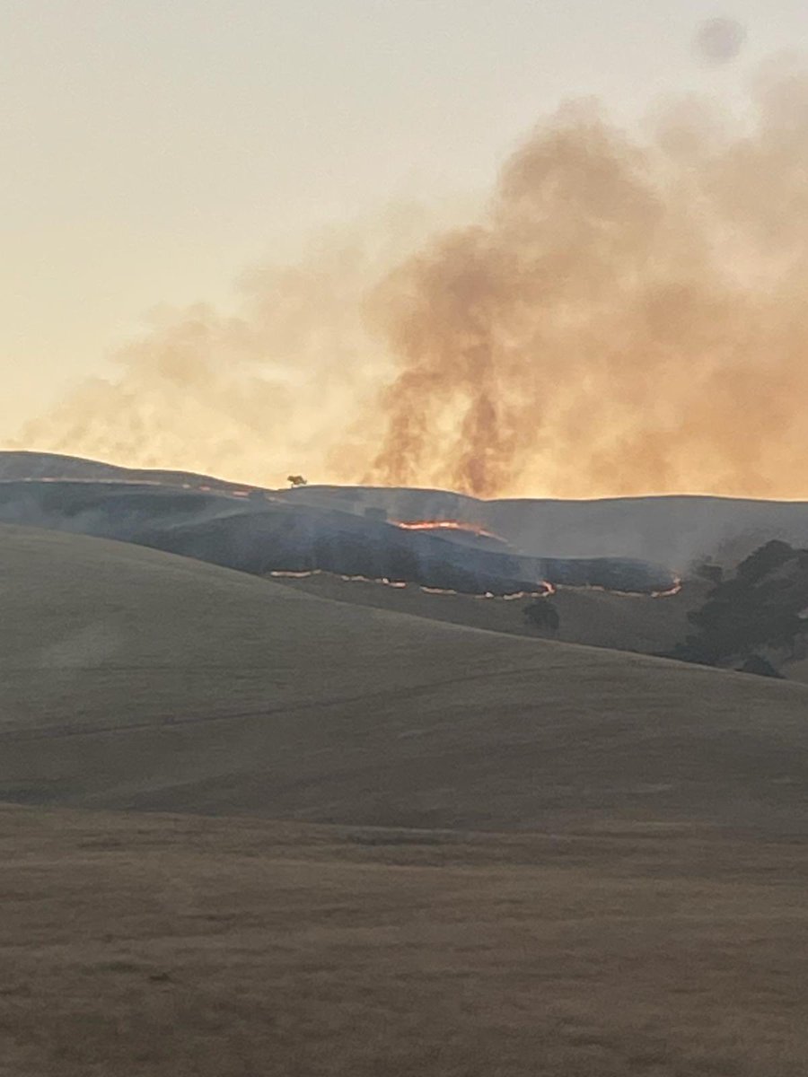 CAL FIRE CZU (@calfireczu) on Twitter photo STRIKE TEAM UPDATE:
🚒🚒🚒
This morning while covering CAL FIRE BEU, engines from ST9170C assisted the unit with the Sabe Fire near the City of Hollister. <a href="/HollisterCity/">City of Hollister</a>
The fire burned roughly 25 acres in grass. Fortunately the fire started in the early morning when the STRIKE TEAM UPDATE:
🚒🚒🚒
This morning while covering CAL FIRE BEU, engines from ST9170C assisted the unit with the Sabe Fire near the City of Hollister. <a href="/HollisterCity/">City of Hollister</a>
The fire burned roughly 25 acres in grass. Fortunately the fire started in the early morning when the