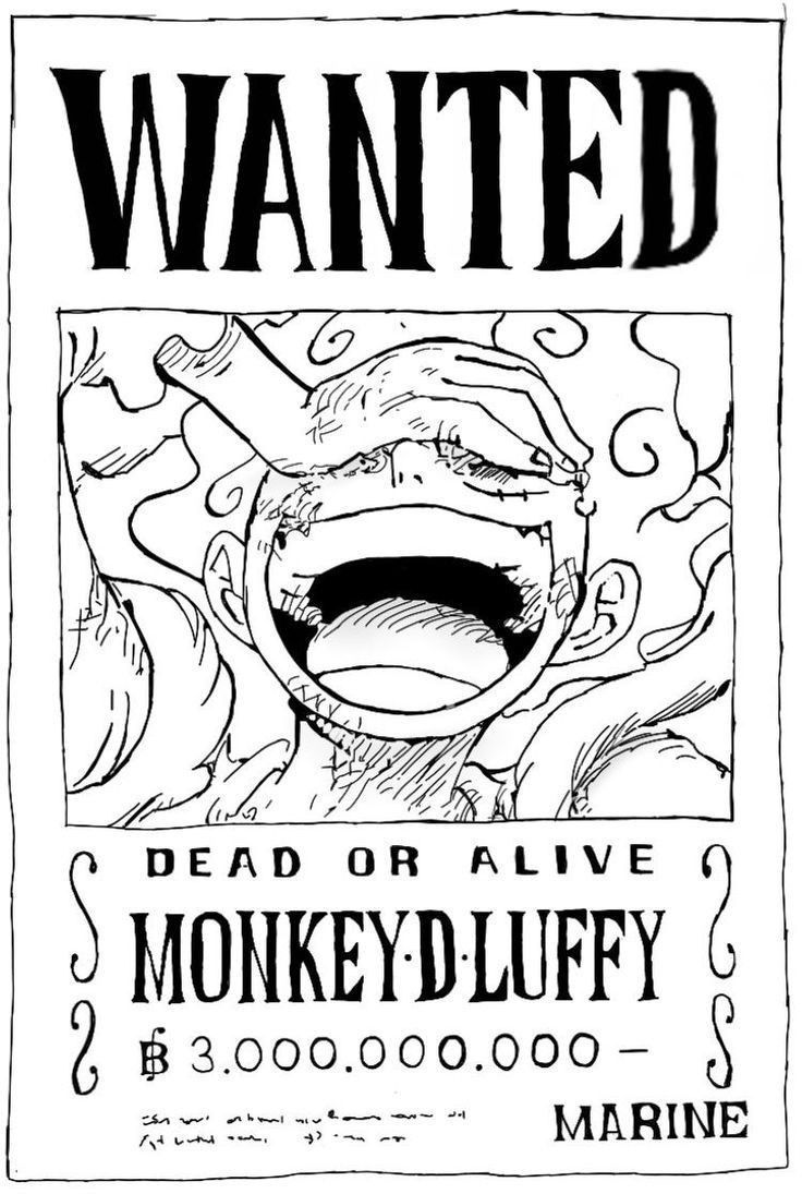 One Piece Daily (@opdaiiy) on Twitter photo 