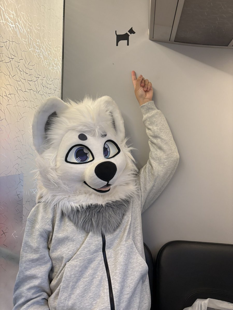 WolframLiu 一条欢 🔜 ? (@wolframliu) on Twitter photo A dog on the train?! What’s happened?
📷: <a href="/Husky_WRN/">Husky the Lazy Wolf 🇨🇳🇸🇪👉🛌</a>
🪡: <a href="/FurryFursuit_M/">🐾 👑FurryFursuitMaker 👑🐾</a>
#FursuitFriday A dog on the train?! What’s happened?
📷: <a href="/Husky_WRN/">Husky the Lazy Wolf 🇨🇳🇸🇪👉🛌</a>
🪡: <a href="/FurryFursuit_M/">🐾 👑FurryFursuitMaker 👑🐾</a>
#FursuitFriday