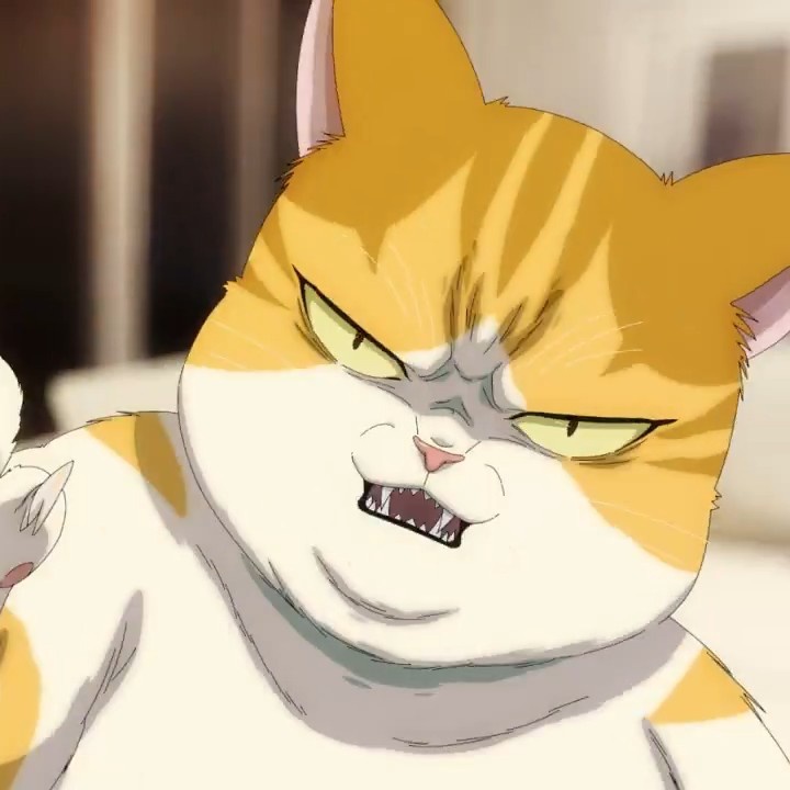 EleceedOfficial's tweet photo. We love Kayden break🐈⚡️
#webtoon #ELECEED https://t.co/joy8E6lDJo