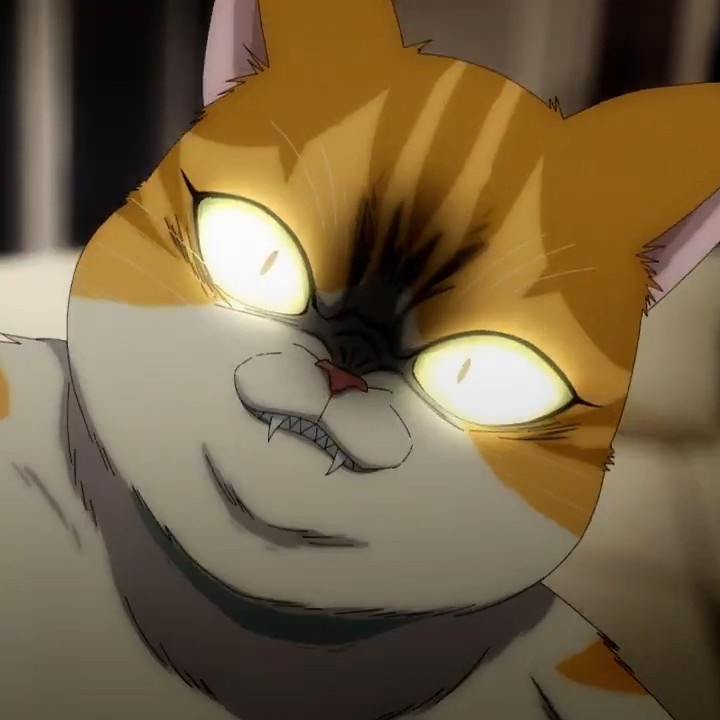 EleceedOfficial's tweet photo. We love Kayden break🐈⚡️
#webtoon #ELECEED https://t.co/joy8E6lDJo