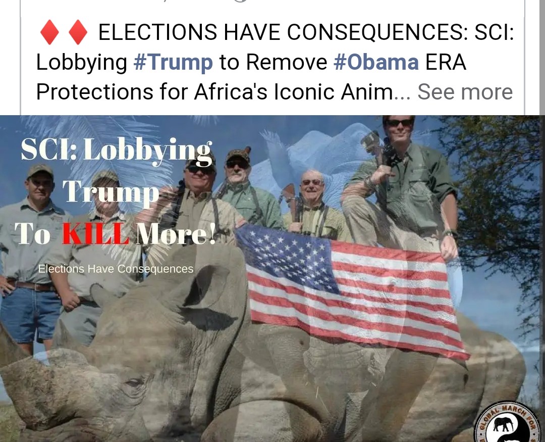 SerraFinn123's tweet image. Your daddy and his knee crawling leeches will destroy everything that is natural and created by our God, you worship money and the presence of power #JesusIsKing  #savewildhorses @BLMNational  the TRUMP FAMILY MOCK GOD EVERYDAY