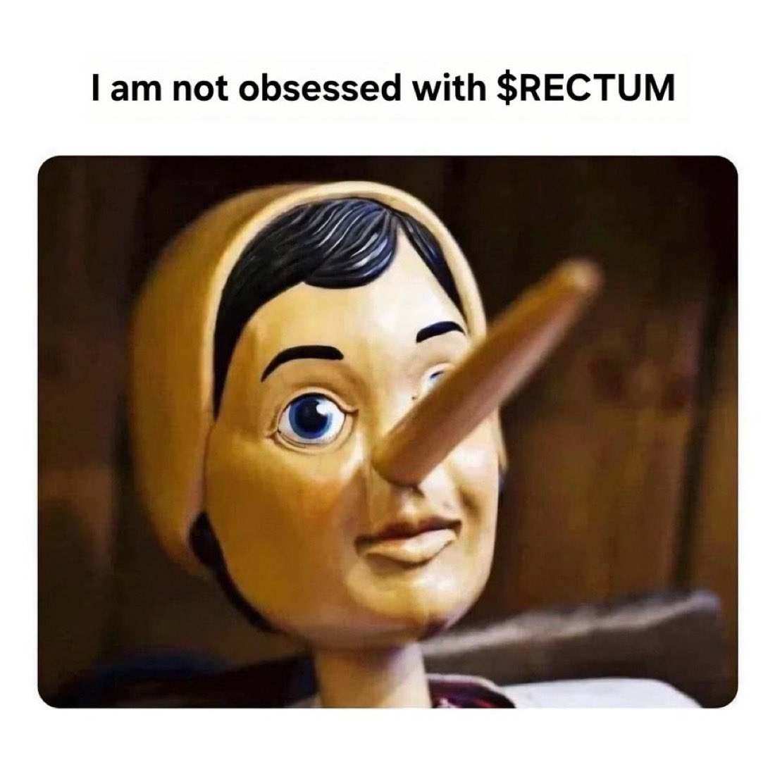 <a href="/SanadYukimu/">Sanadayukimira 🦺⏱️🐰</a>