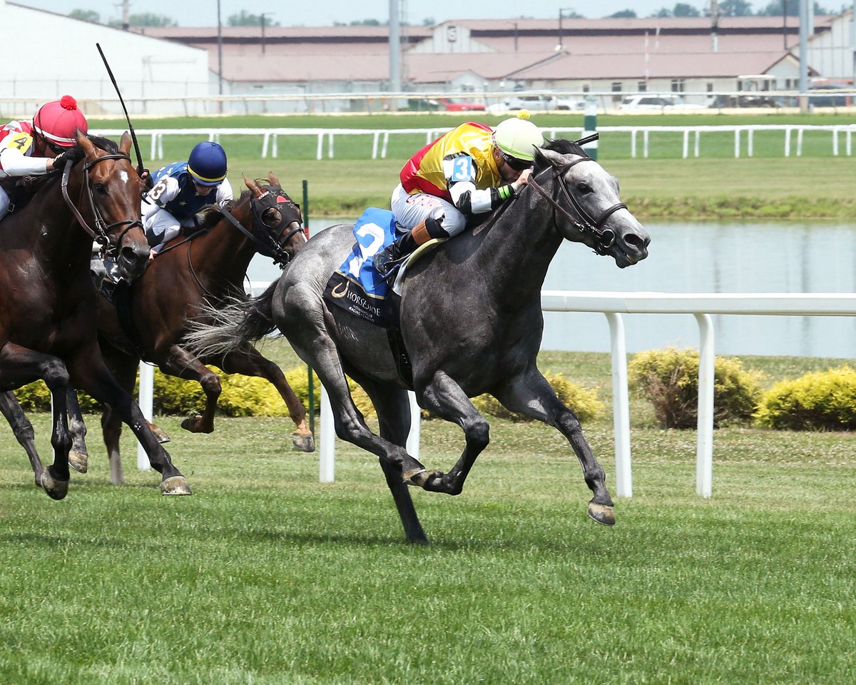 STEPPIN SILVER (The Factor) was cooking with Evin Roman (two wins) on the #FourthOfJuly <a href="/HSIndyRacing/">Horseshoe Indianapolis Race Course</a>, equaling the course record for the 8.5F (Turf) in 1:39.49. The winner, trained by <a href="/P_H_Lobo/">Paulo Henrique Lobo</a> for Brownwood Farm,
matches Millionaire IVAR (BRZ), who was also trained by Paulo,